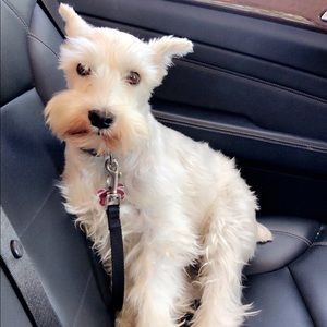 Meet your Posher, Valeria